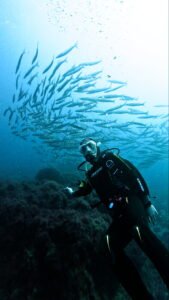 Read more about the article TRY DIVE TENERIFE