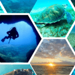 PIERWSZE NURKOWANIE NA TENERYFIE - TRY DIVE TENERIFE POLSKIE CENTRUM NURKOWE NA TENERYFIE- DIVE LOVERS TENERIFE