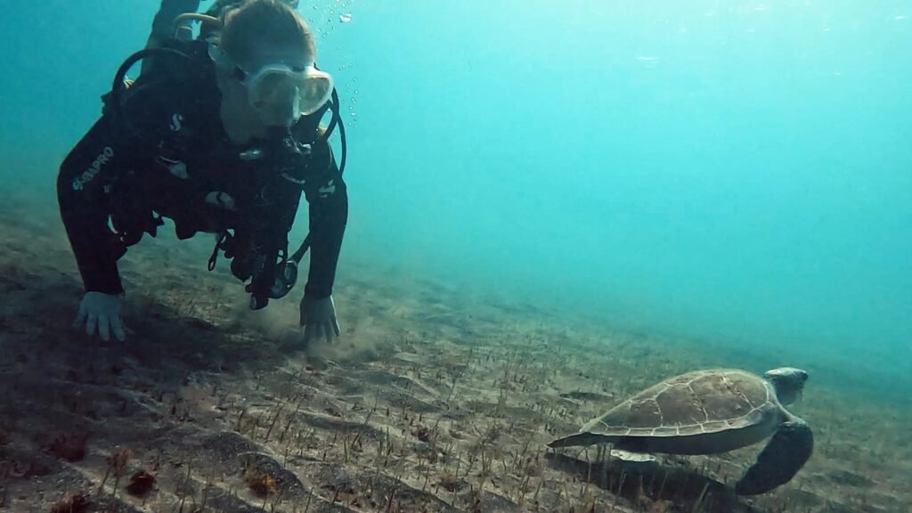 TENERYFA NURKOWANIE TRY DIVE INTRO DIVE