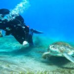 TRY DIVE - PIERWSZE NURKOWANIE NA TENERYFIE