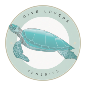 Read more about the article PADI vs SSI