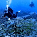 MONTANA AMARILLA SCUBA DIVING