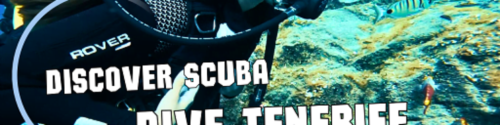 DISCOVER SCUBA DIVE TENERIFE - SCUBA DIVING IN TENERIFE