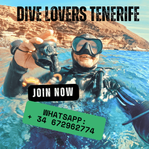 TENERIFE DIVING Dive Lovers Tenerife
