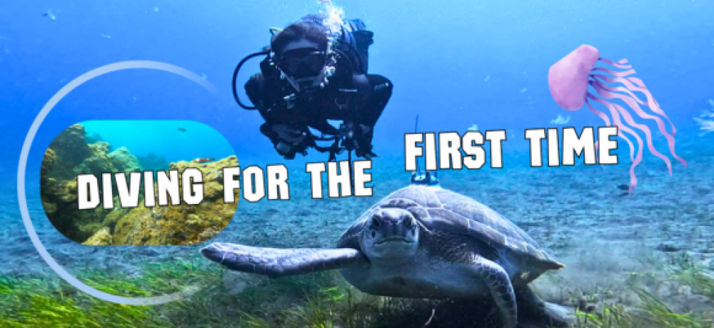 PIERWSZE NURKOWANIE NA TENERYFIE- TRY DIVE