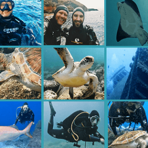 Pierwsze nurkowanie na Teneryfie Try Dive