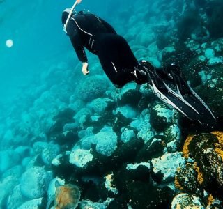 SNORKELING MONTANA AMARILLA