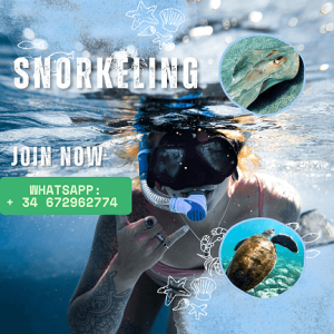 Snorkeling Tenerife