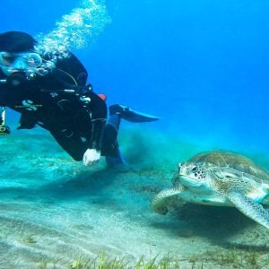 TRY DIVE - PIERWSZE NURKOWANIE NA TENERYFIE